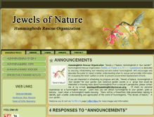Tablet Screenshot of hummingbirdsrescue.org